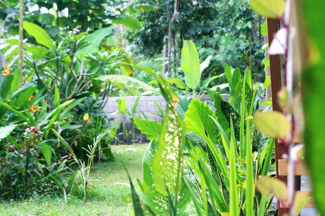 Jungle House - Surf & Stay Pulukan Exterior foto