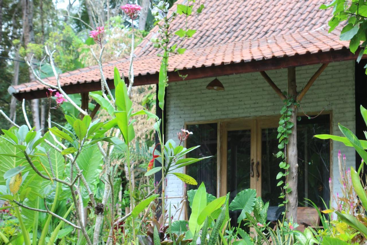 Jungle House - Surf & Stay Pulukan Exterior foto