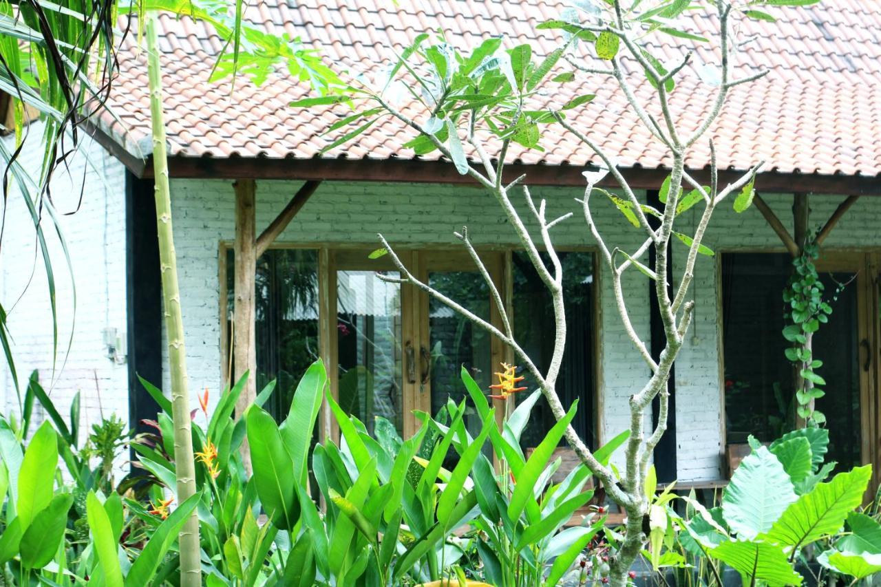 Jungle House - Surf & Stay Pulukan Exterior foto