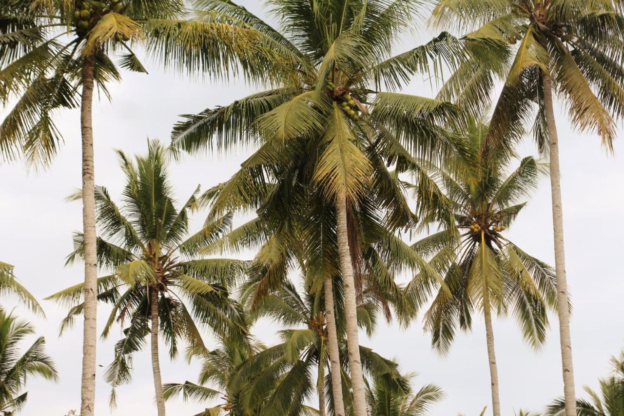 Jungle House - Surf & Stay Pulukan Exterior foto