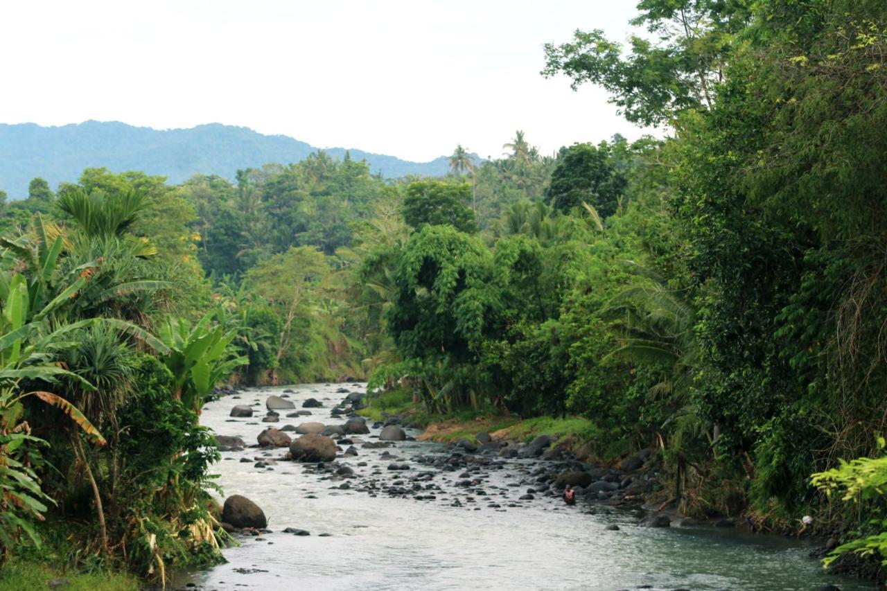 Jungle House - Surf & Stay Pulukan Exterior foto
