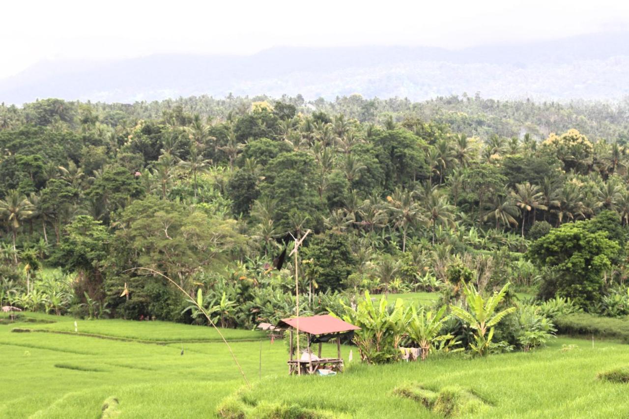 Jungle House - Surf & Stay Pulukan Exterior foto